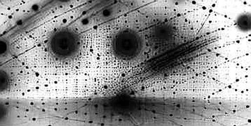 The SpaceXAI Mirage: Why Empty AI Claims Are a Trader's Worst Enemy in a Sideways Market The SpaceXAI Mirage: Why Empty AI Claims Are a Trader's Worst Enemy in a Sideways Market