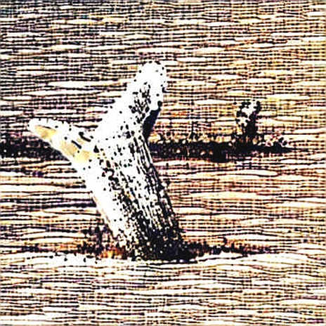 The Allbridge Core Exploit: A Tale of Thin Liquidity and Forgotten Oracles The Allbridge Core Exploit: A Tale of Thin Liquidity and Forgotten Oracles