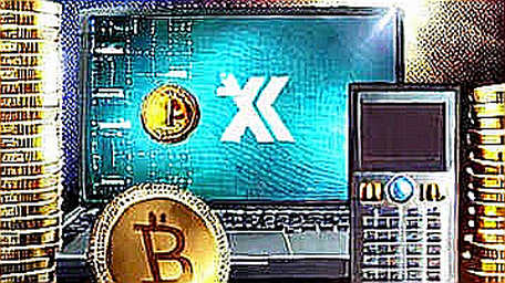 WeRide's Sales Beat: A Signal for AI-Crypto Narrative or a Trap for the Unwary?