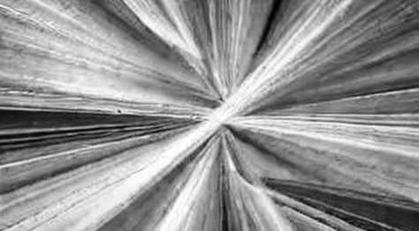 The Windchill Breach: When Engineering Data Becomes Ransomware Collateral The Windchill Breach: When Engineering Data Becomes Ransomware Collateral
