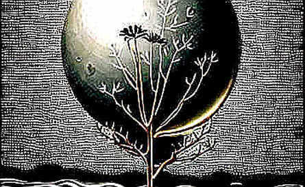 The Void of Information: When Due Diligence Yields Zero The Void of Information: When Due Diligence Yields Zero